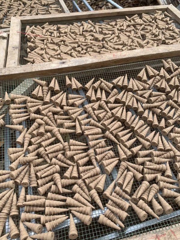 nụ trầm được phơi trực tiếp dưới nắng