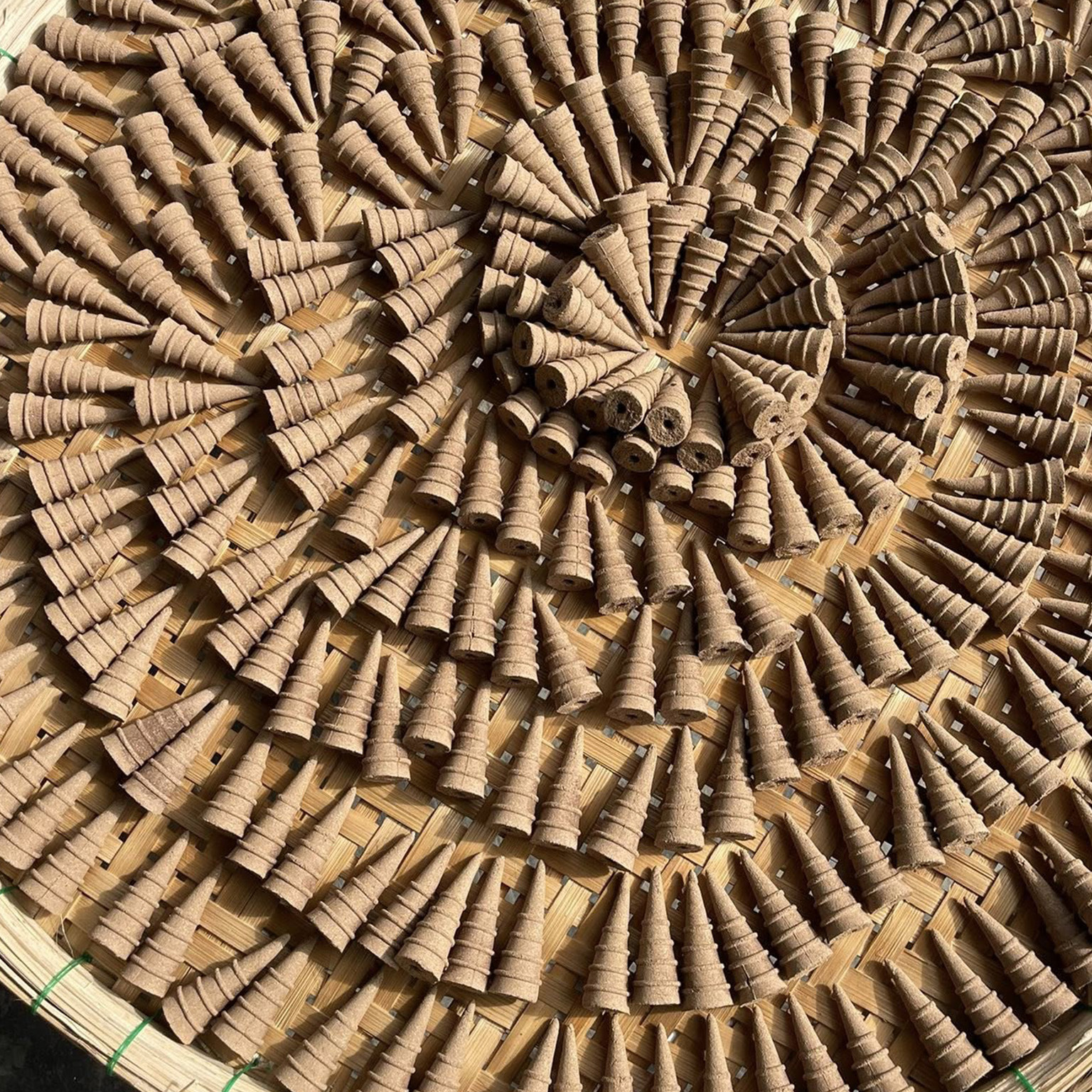 phơi nụ trầm hương