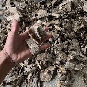 giác trầm để tạo nụ trầm hương