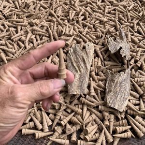 nụ trầm thật trên tay