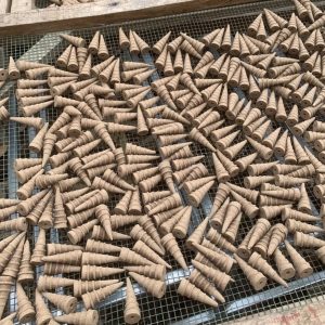 nụ trầm hương được phơi dưới nắng