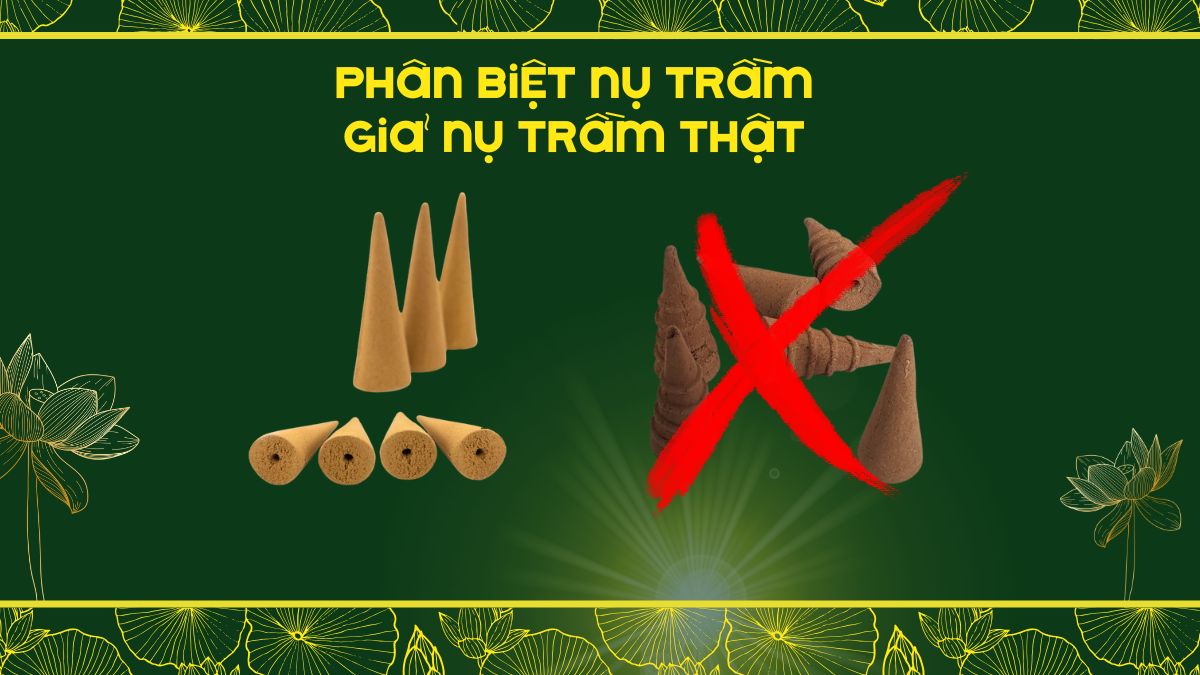 phân biết nụ trầm giả nụ trầm thật