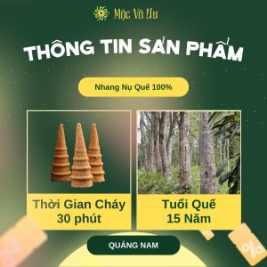 thông tin nụ quế nguyên chất
